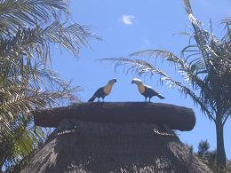 Auckland Botanic Gardens