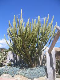 Auckland Botanic Gardens