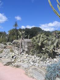 Auckland Botanic Gardens