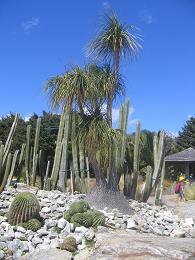 Auckland Botanic Gardens