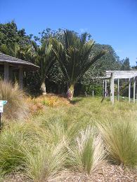 Auckland Botanic Gardens
