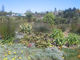 Auckland Botanic Gardens
