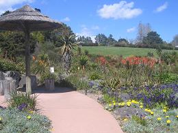 Auckland Botanic Gardens
