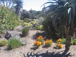 Auckland Botanic Gardens