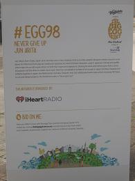 Big Egg Hunt 2014 - Freyberg Square