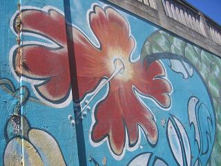Central City - Auckland