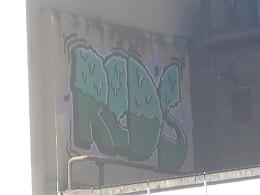 Central City - Auckland