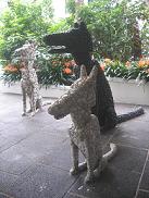 3 Dogs
