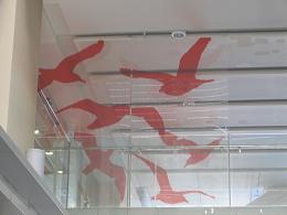 Central City - Auckland