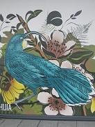 Huia