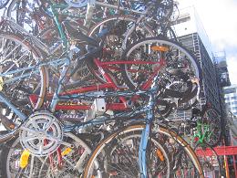 Christmas 2014 - Tree of Bikes