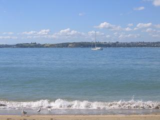 Devonport Waterfront