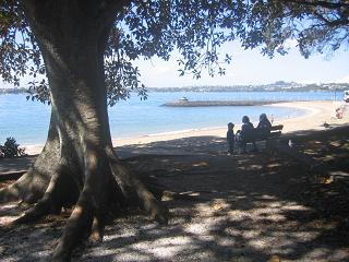 Devonport Waterfront