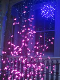 Franklin Road Christmas Lights 2014