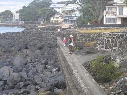 walk from Milford beach to Takapuna beach