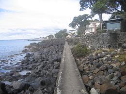 walk from Milford beach to Takapuna beach