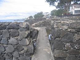 walk from Milford beach to Takapuna beach