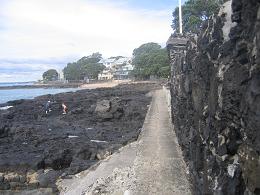 walk from Milford beach to Takapuna beach