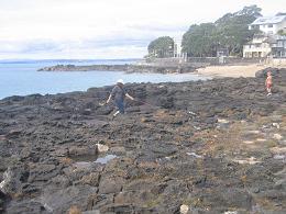 walk from Milford beach to Takapuna beach