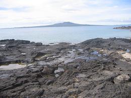 walk from Milford beach to Takapuna beach