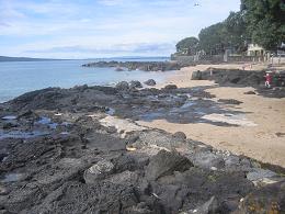 walk from Milford beach to Takapuna beach