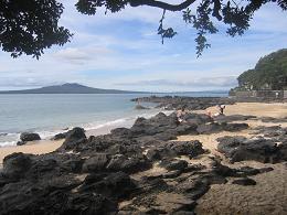 walk from Milford beach to Takapuna beach