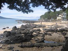 walk from Milford beach to Takapuna beach