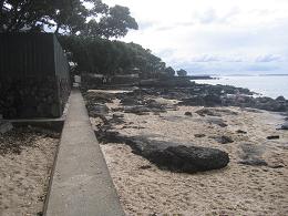 walk from Milford beach to Takapuna beach