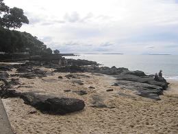 walk from Milford beach to Takapuna beach