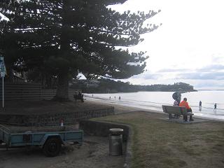 walk from Milford beach to Takapuna beach