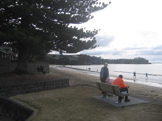 walk from Milford beach to Takapuna beach