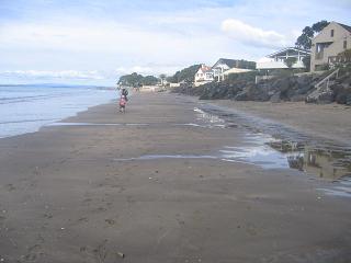 walk from Milford beach to Takapuna beach