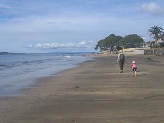 walk from Milford beach to Takapuna beach