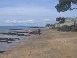 walk from Milford beach to Takapuna beach