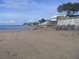 walk from Milford beach to Takapuna beach