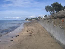 walk from Milford beach to Takapuna beach