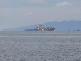 walk from Milford beach to Takapuna beach