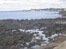 walk from Milford beach to Takapuna beach