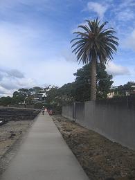 walk from Milford beach to Takapuna beach