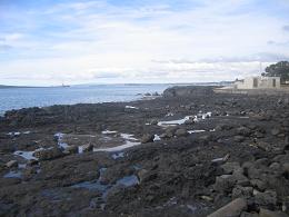 walk from Milford beach to Takapuna beach