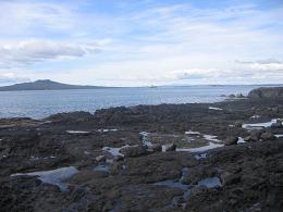 walk from Milford beach to Takapuna beach