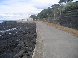 walk from Milford beach to Takapuna beach