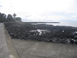 walk from Milford beach to Takapuna beach