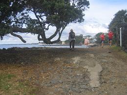 walk from Milford beach to Takapuna beach