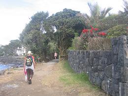 walk from Milford beach to Takapuna beach