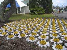 NZ Sculpture Onshore