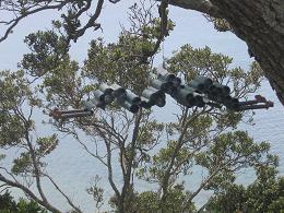 NZ Sculpture Onshore