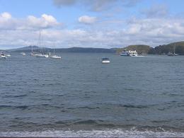 Waiheke