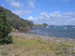 Waiheke