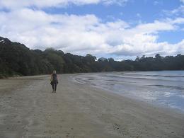 Waiheke